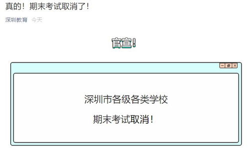 樊振东再现姆巴佩动作庆祝，体育场上的新星与足球精神的传承