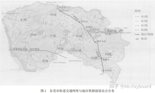 4600余体育饭圈化账号被查处，净化网络环境，维护体育精神