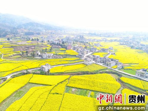 开阳县提前半年实现工业用地收储目标，加速地方经济发展