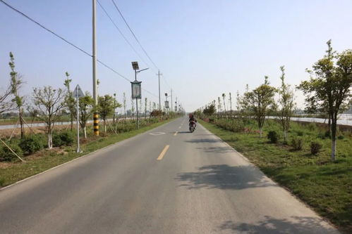 北务镇惠民工程加速，村道路焕然一新